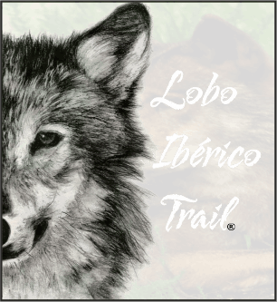 Lobo Ibérico Trail