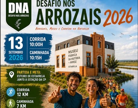 Desafio nos Arrozais